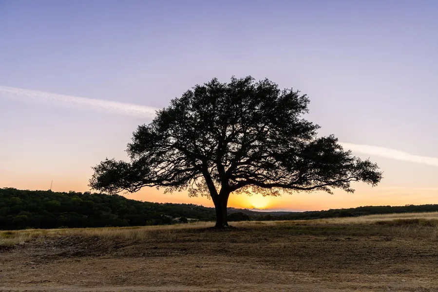 Exclusive 880 Acre Ranch in Texas